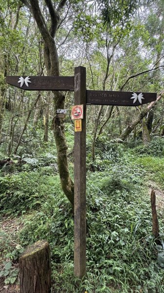 20250803枋山坑古道2850508