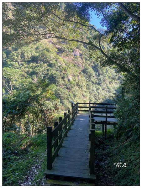 鳳凰谷鳥園步道2695903