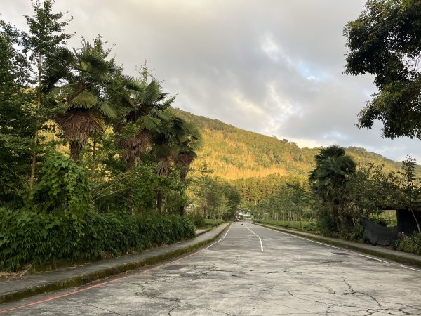 [嘉遊好步道．來嘉走走-04/10] 2024_1011 阿里山頂湖步道2624791