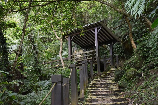 天上山／小百岳0181371780