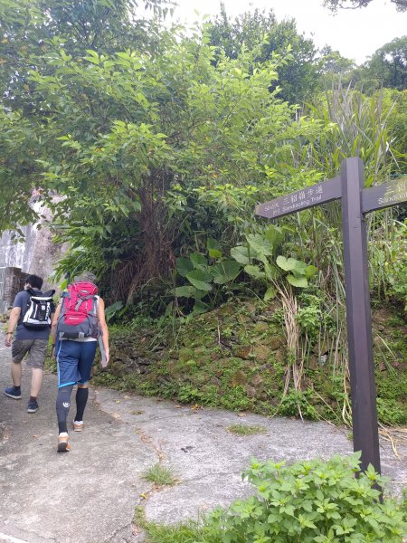 三貂嶺瀑布群步道→大華車站1053225