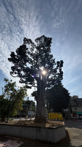 台南一日散策、尋找陽光與記憶的痕跡3055465