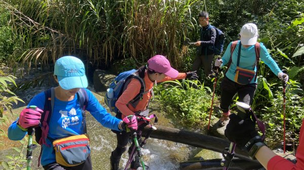 精彩的水社大山行|白石山土地公廟|Great Mt. Shuishe|쉐이써따신|峯花雪月2263854