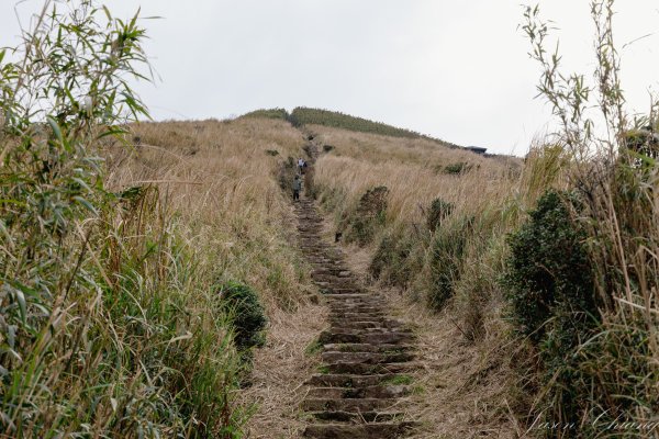 [台北]大屯山2693394