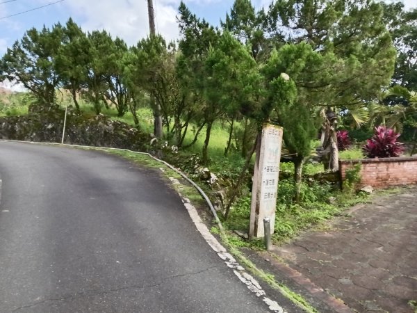 雙溪區冬陽下閃閃菅芒花2949422