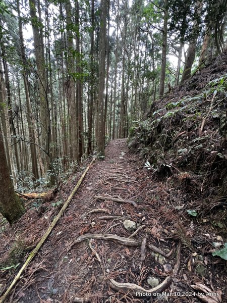 魔幻高島縱走2454702