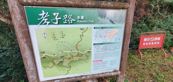 2025-01-19孝子路步道、大巃頂2694240