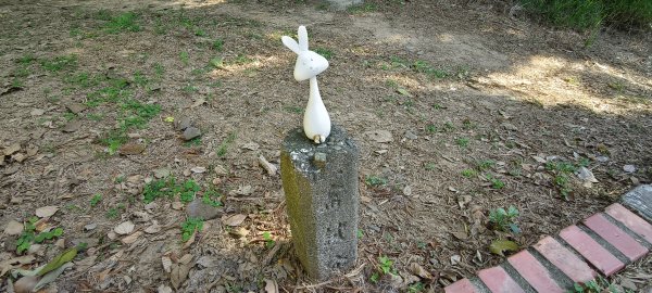 2025/11/09-青青草原步道2933458