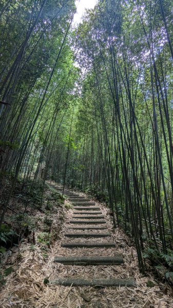 關刀山步道 (出關古道：聖關段)2532817