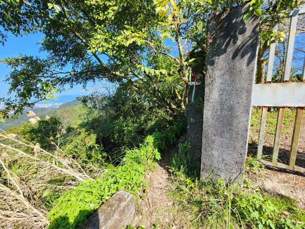 20240114指南宮站經猴山岳二格山鵝角格山至貓空站2430814