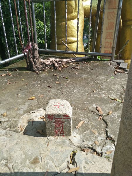 南觀音山步道374811