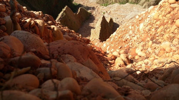 將來爬不動1051125火炎山自然保留區95899