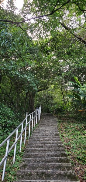 2020-06-21大尖山、四分尾山步道1385868