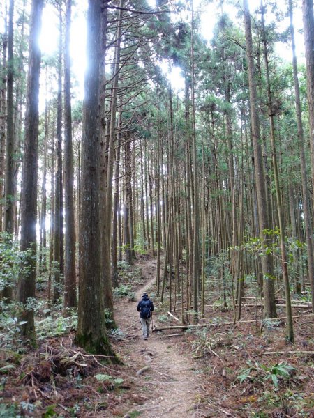 高島縱走1199161