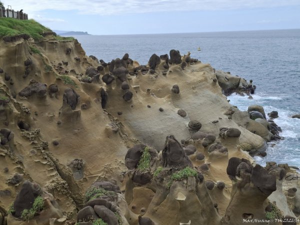 《基隆》奇石黑鳶｜和平島地質公園環山步道O繞202609183121019