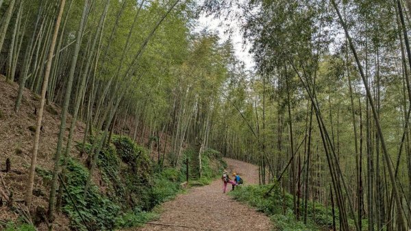 嘉南雲峰、石壁山步道3049088