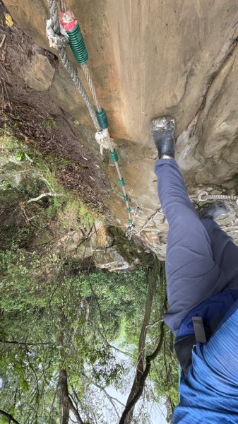 迎新（2026元旦2975564