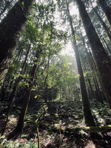 油羅山 2025 09/132890053