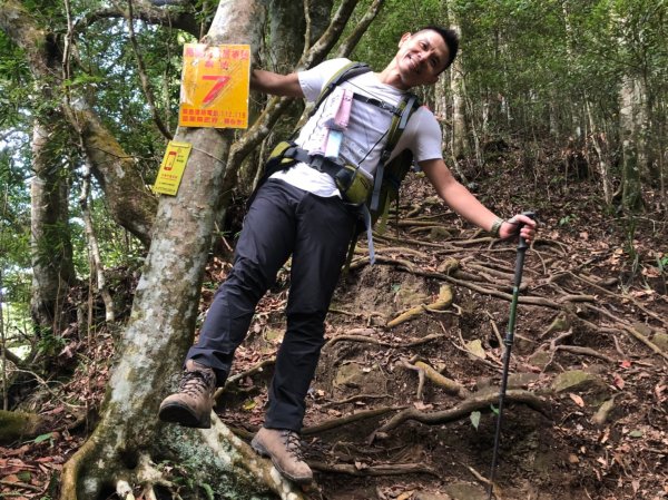 泰安溫泉.鳥嘴山【強筋健骨 養顏美容的套1198640