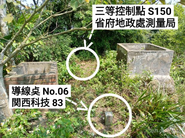 [新竹芎林]飛鳳山~芎蕉窩山...+大板根