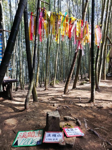 溪頭四秀 - 南投縣鹿谷鄉3023263