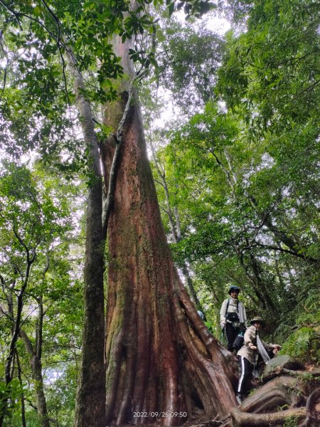 北得拉曼內鳥嘴山1856812