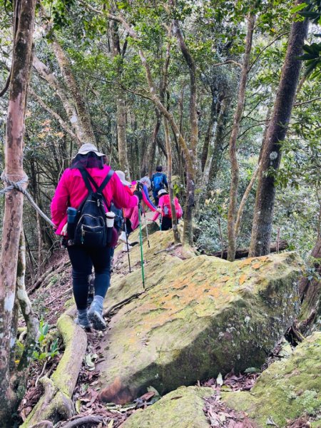 1140319仙山-仙山南峰2738258