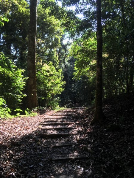 特富野古道893349