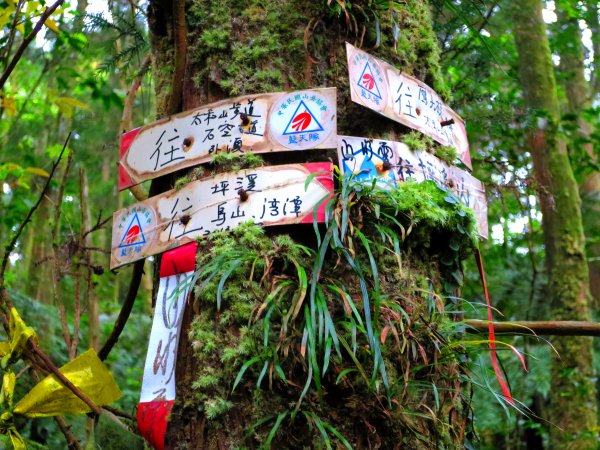 淡蘭古道輕旅行:坪溪古道出外澳546093