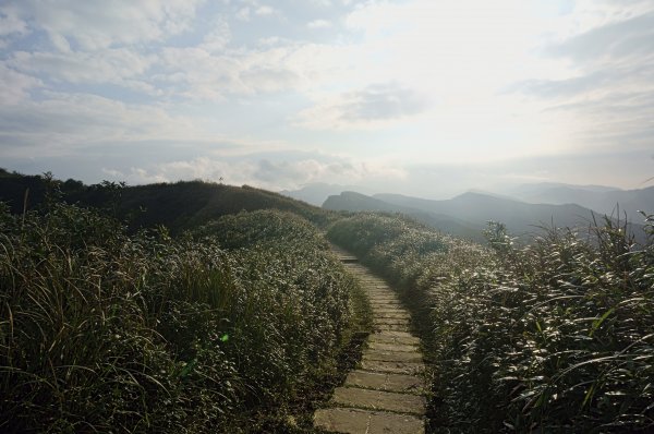 灣坑頭山 桃源谷步道 連走2034861