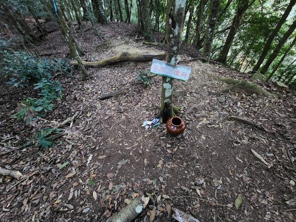 20260118騰龍山加里山O型2997498