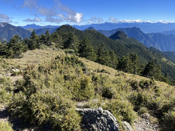 雪山西稜 2023_1105(D4B) 奇峻山2341902