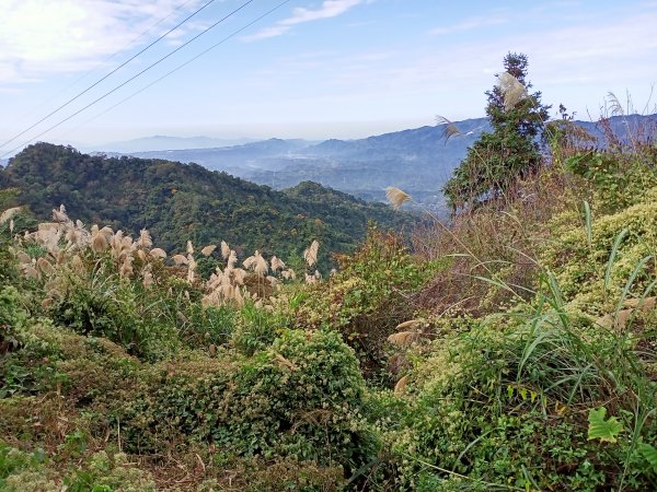 【臺灣百大必訪步道】苗栗馬那邦山登山步道1207730