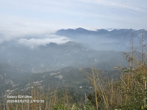 2025-02-27二延平步道2725418