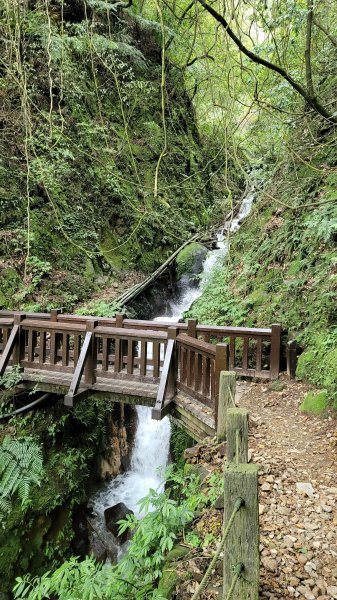 擎天崗系步道巡禮2104329