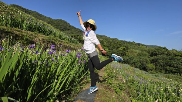 免出國免門票，連綿壯闊的梯田風情，全臺唯一梯田鳶尾花海，嵩山百年梯田2764688
