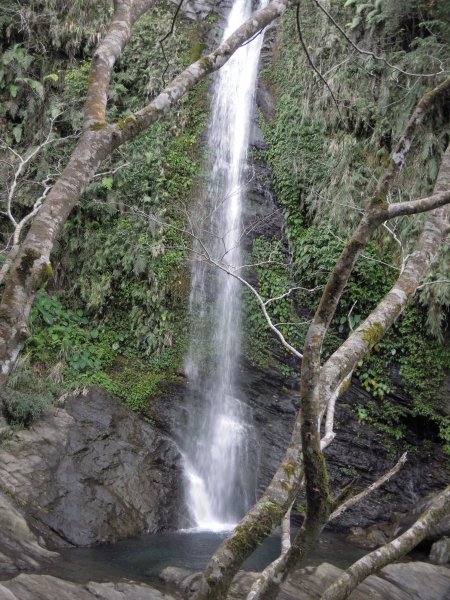 花蓮南安瓦拉米步道201102021956914