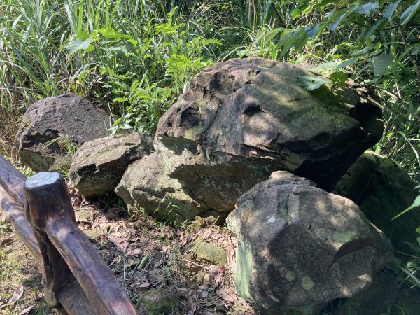 大棟山登山步道2496085