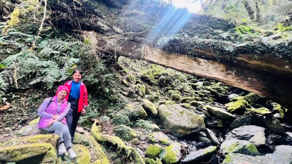 🌈228連假北橫賞櫻客製化四日遊Day2 FB：熊熊趴爬走🌈2724611