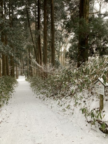 4 大阪金剛山全記錄2711084