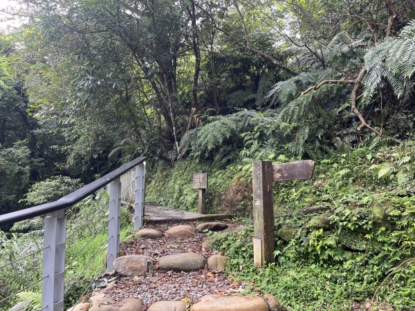 [微笑山線_第十二段] 2025_0803 五分山系_望古瀑布2851539