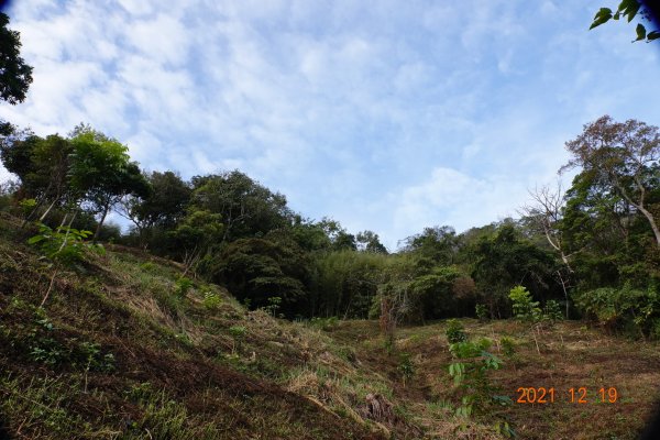 臺中 東勢 石圍牆山1555356