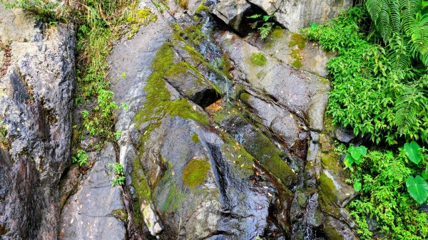 油羅山(一上三下)2959208