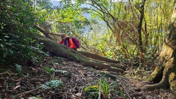 20260214五林縱走3000135