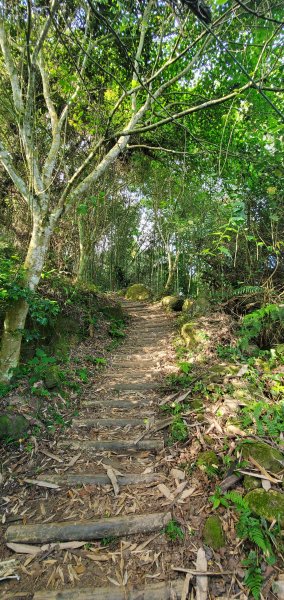 2021-04-11馬那邦山登山步道1346416