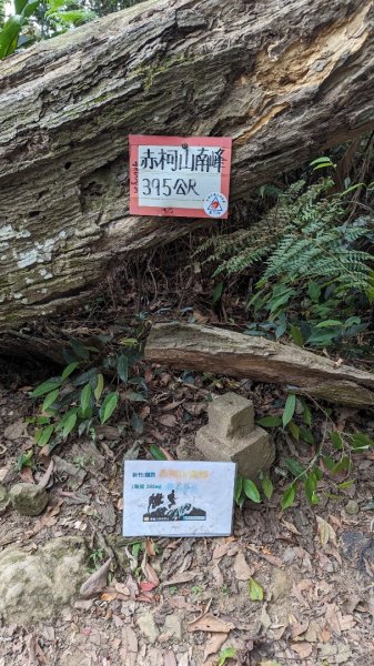 赤柯山 東獅頭山2501627