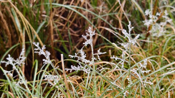 #霧淞 #雲海 #雲瀑 #霧虹 #太平山 #望洋山 #觀雲步道 #翠峰道路  2/82995321