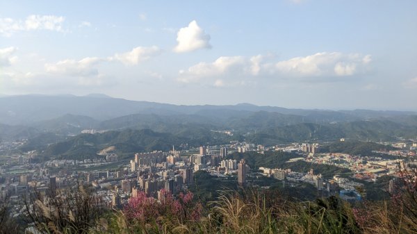 汐止大尖山 天秀宮停車場起登2056837