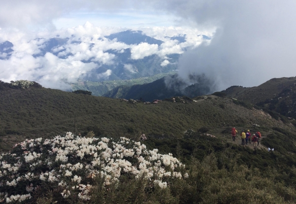 合歡山北峰-小溪營地50313