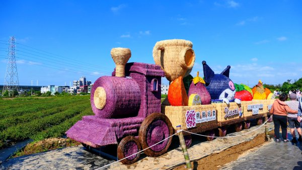 富岡仙草花2942407